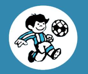 Liga Argentina de Baby Futbol