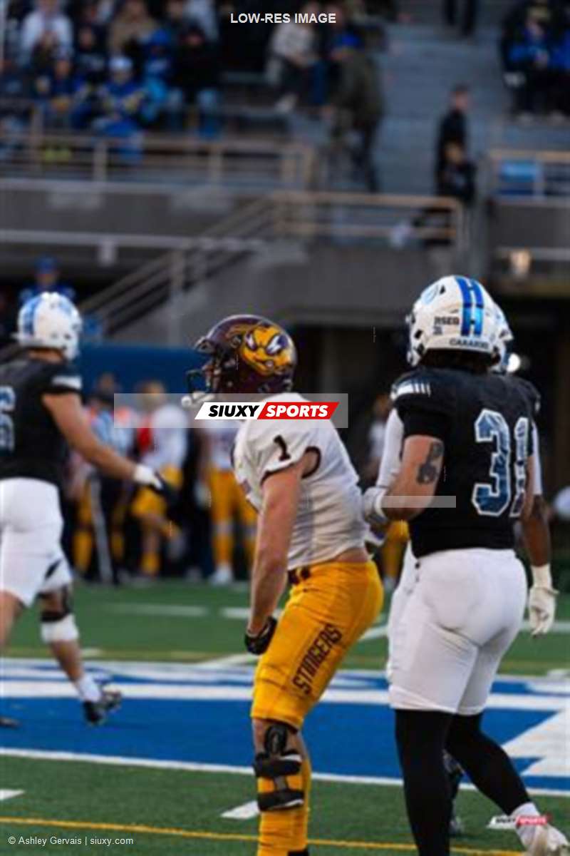 RSEQ - 2023 Football - Université de Montréal (14) vs (16) Concordia University