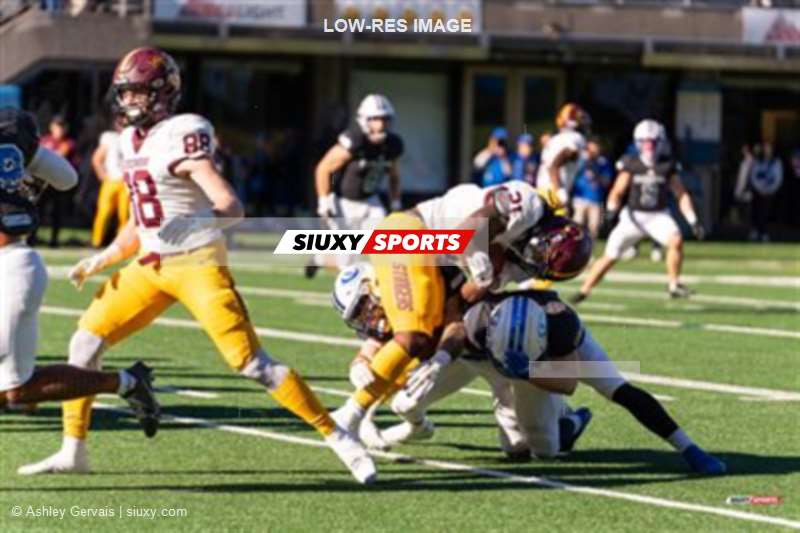 RSEQ - 2023 Football - Université de Montréal (14) vs (16) Concordia University