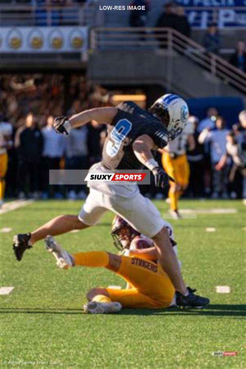 RSEQ - 2023 Football - Université de Montréal (14) vs (16) Concordia University