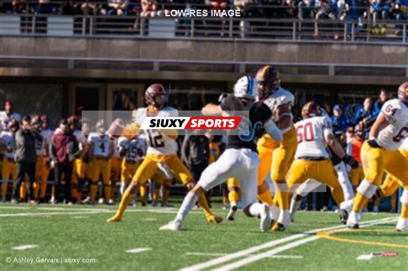 RSEQ - 2023 Football - Université de Montréal (14) vs (16) Concordia University
