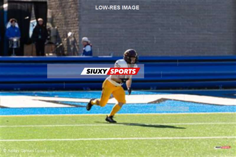 RSEQ - 2023 Football - Université de Montréal (14) vs (16) Concordia University