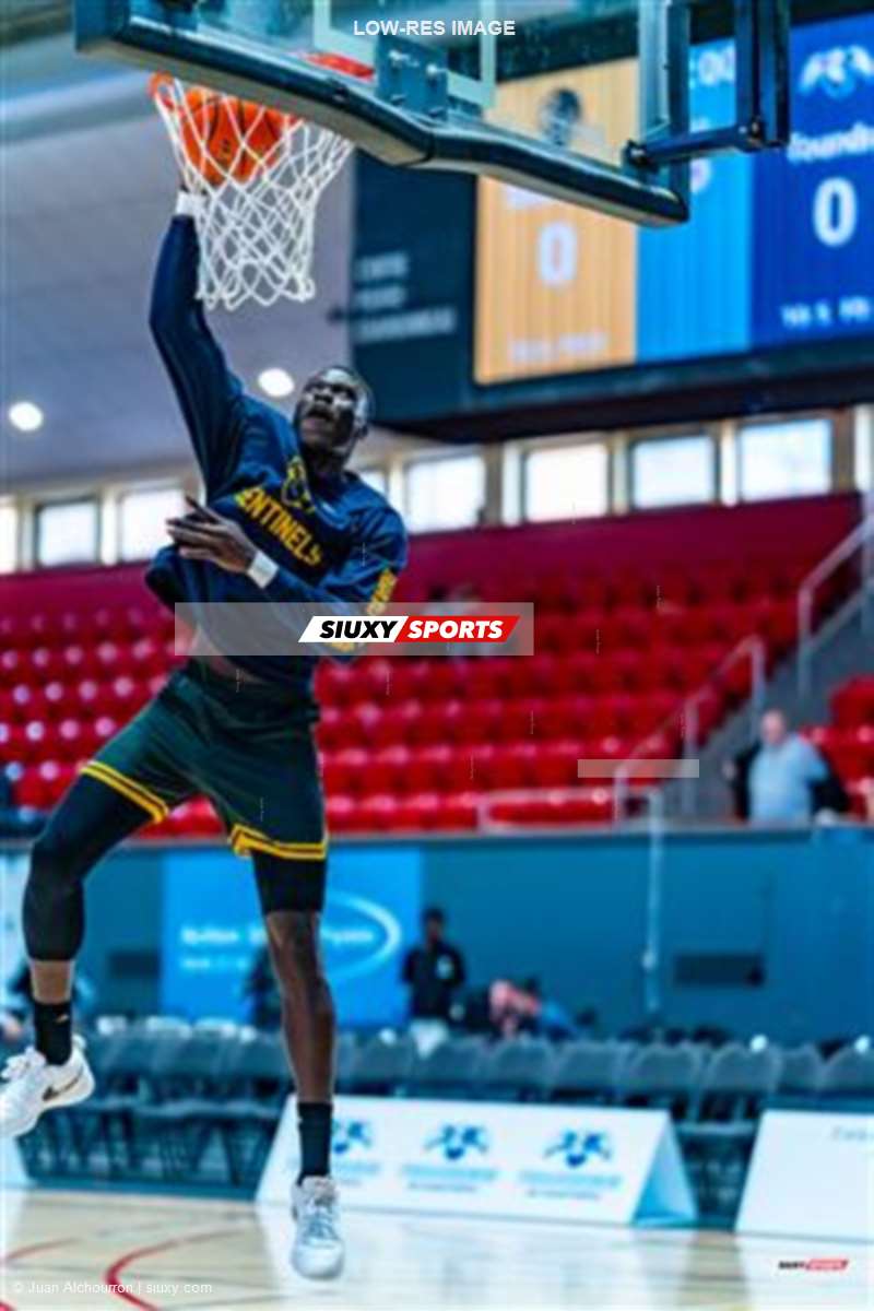 BSL 2026 - Toundra de Montréal vs Texas Sentinels - Before and after the game