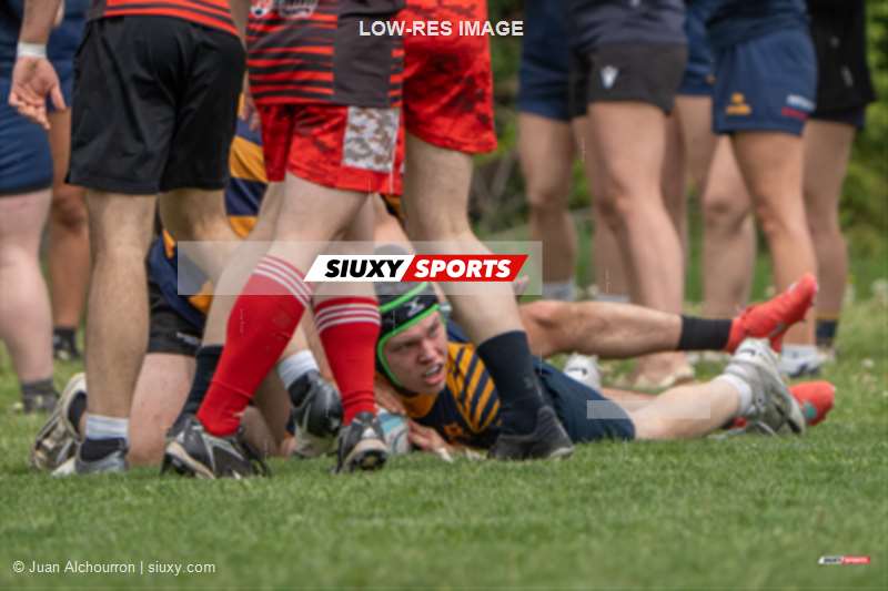 Town of Mount Royal RFC - Club de Rugby de Québec - Rugby - RQ 2026 - P2-P3 Masculin - TMR vs CRQ (#RQ26P2P3MTQ5) Photo by: Juan Alchourron | Siuxy Sports 2026-05-23