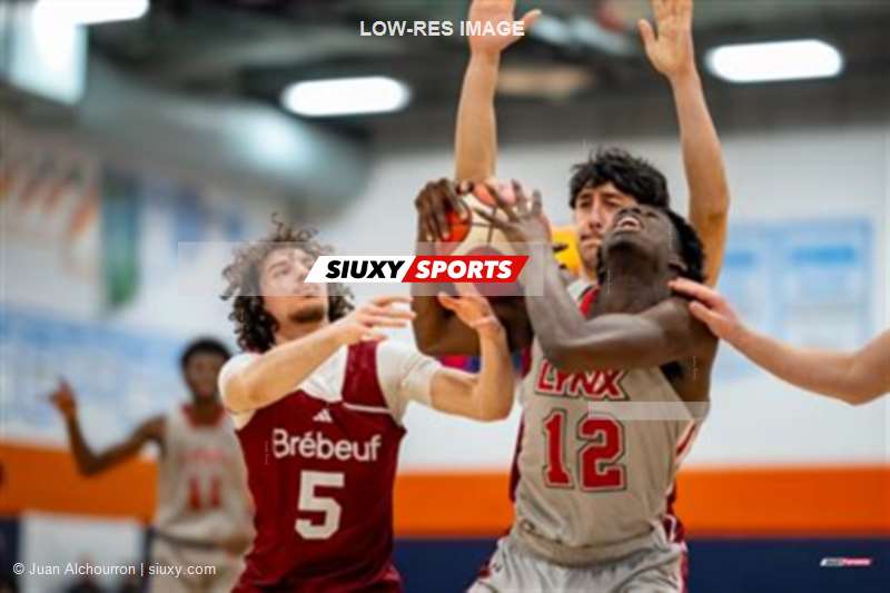 RSEQ 2026 - Basketball M D2 - Championnat de conférence SO - Brébeuf vs E Montpetit