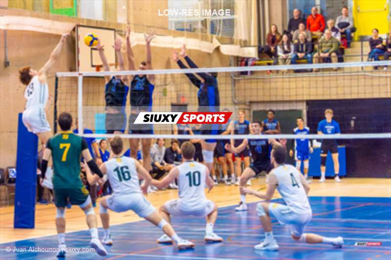 Zachary MOISAN - Hugo OUELLET - Jonathan PORTELANCE - Guillaume RIVEST - Julien VANIER -  Université de Montréal - Université de Sherbrooke - Volleyball - RSEQ - 2024 VOLLEY M - U DE MONTRÉAL (1) VS (3) U DE SHERBROOKE - Reel 2 (#RSEQ24VMUDMUSH02A2) Photo by: Juan Alchourron | Siuxy Sports 2024-02-04