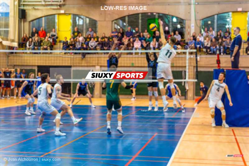 Zachary HOLLANDS - Zachary MOISAN - Jonathan PORTELANCE - Alexandre ST-DENIS -  Université de Montréal - Université de Sherbrooke - Volleyball - RSEQ - 2024 VOLLEY M - U DE MONTRÉAL (1) VS (3) U DE SHERBROOKE - Reel 2 (#RSEQ24VMUDMUSH02A2) Photo by: Juan Alchourron | Siuxy Sports 2024-02-04