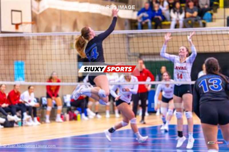 RSEQ - 2024 Volley F - Demi-finale - U de Montréal (3) vs (1) U Laval