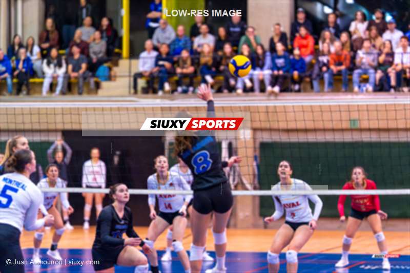 Florence CLOUTIER - Brittany MCGLASHAN - Sarah MCGLASHAN -  Université de Montréal - Université Laval - Volleyball - RSEQ - 2024 Volley F - Demi-finale - U de Montréal (3) vs (1) U Laval (#RSEQ24VFUDMULA02) Photo by: Juan Alchourron | Siuxy Sports 2024-02-23