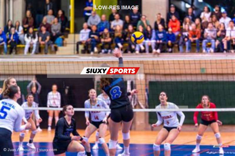 RSEQ - 2024 Volley F - Demi-finale - U de Montréal (3) vs (1) U Laval