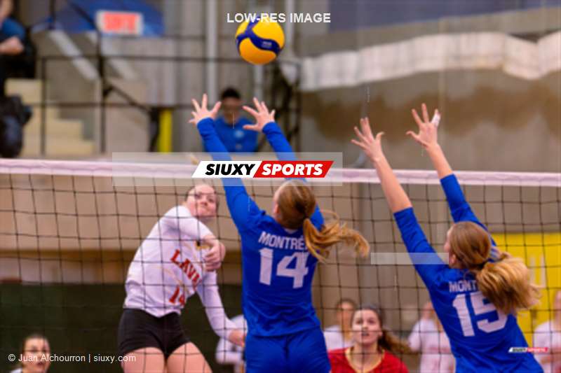  Université de Montréal - Université Laval - Volleyball - RSEQ - 2024 Volley F - U de Montréal (3) vs (2) U Laval (#RSEQ24VFUDMULV01) Photo by: Juan Alchourron | Siuxy Sports 2024-01-27