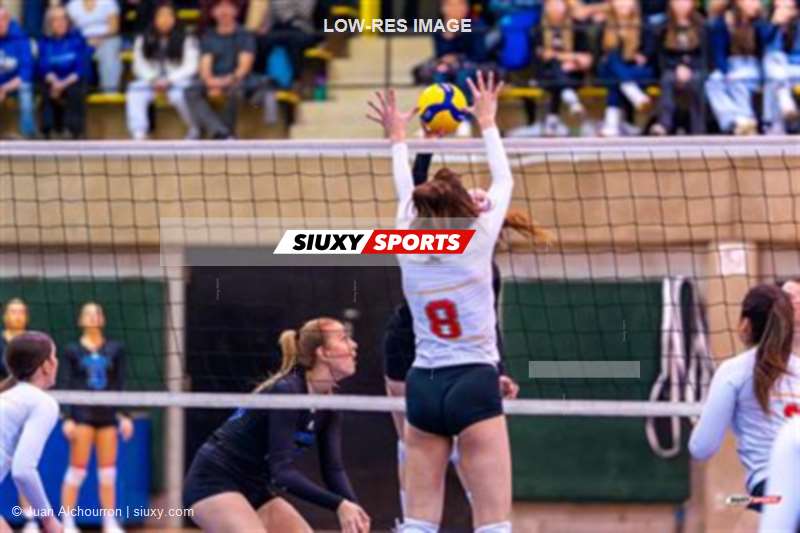 RSEQ - 2024 Volley F - Demi-finale - U de Montréal (3) vs (1) U Laval