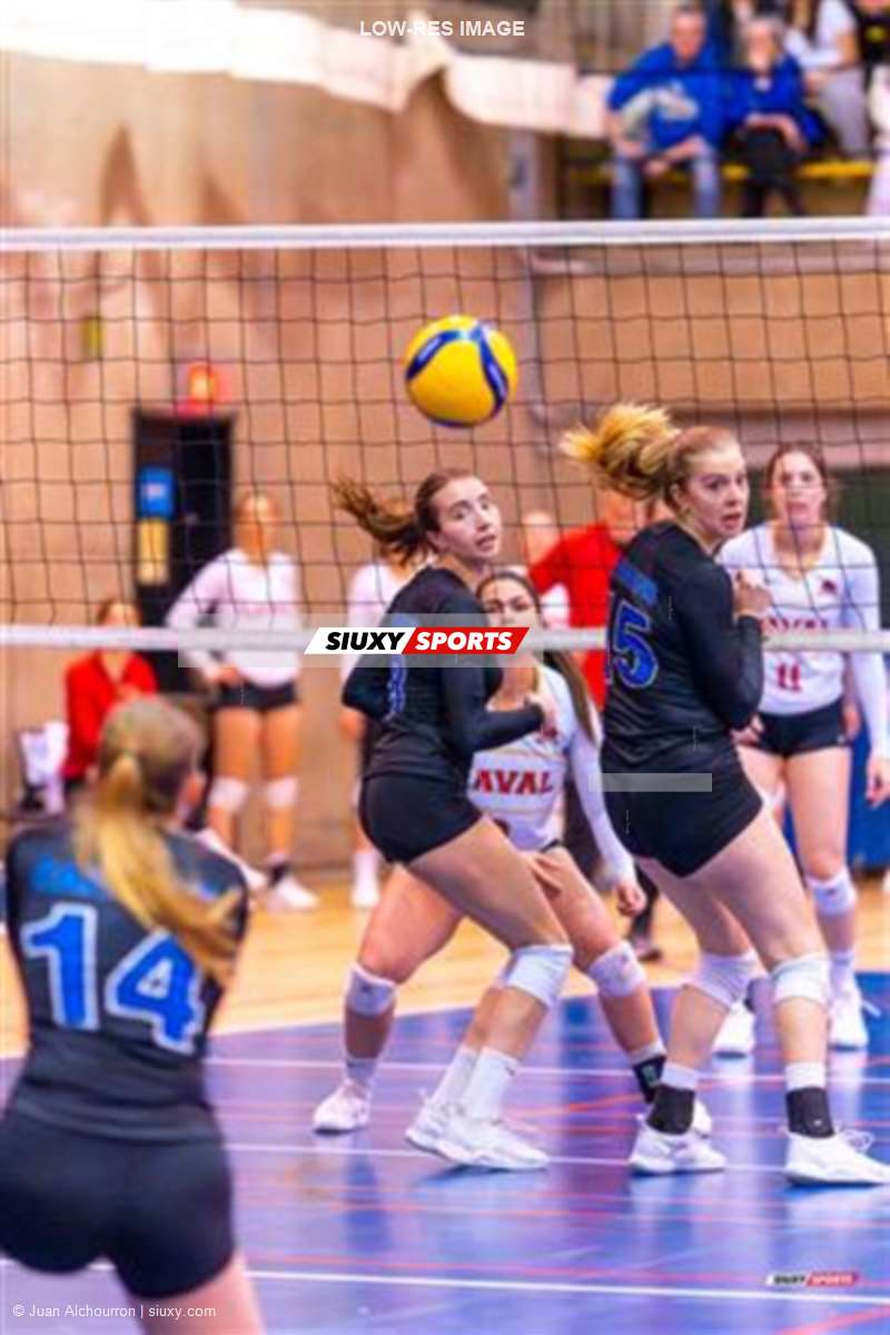 RSEQ - 2024 Volley F - Demi-finale - U de Montréal (3) vs (1) U Laval