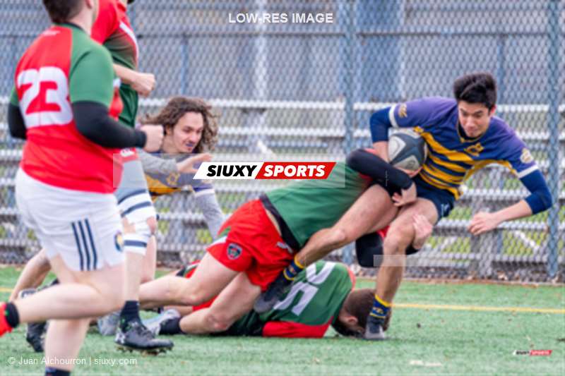 Alexander LEE -  Rugby Club de Montréal - Town of Mount Royal RFC - Rugby - RQ 2024 - Match Pré-Saison - Rugby Club Montréal (19) vs (29) Town of Mount Royal - M (#RQ24MASRCMTMR04) Photo by: Juan Alchourron | Siuxy Sports 2024-04-20