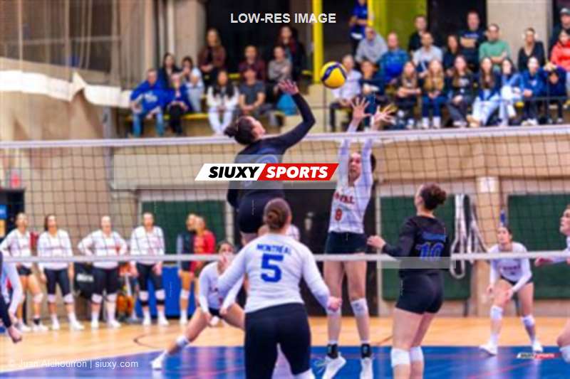 RSEQ - 2024 Volley F - Demi-finale - U de Montréal (3) vs (1) U Laval
