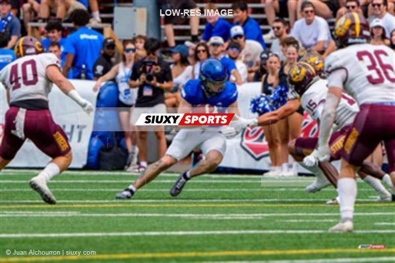 RSEQ 2025 - Football Universitaire - Carabins de Montréal (41) vs (14) Stingers de Concordia - Match