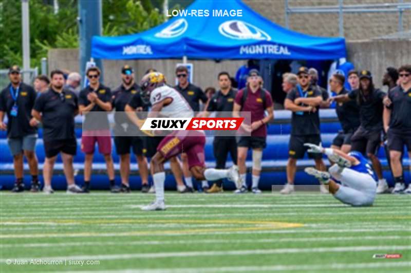 RSEQ 2025 - Football Universitaire - Carabins de Montréal (41) vs (14) Stingers de Concordia - Match