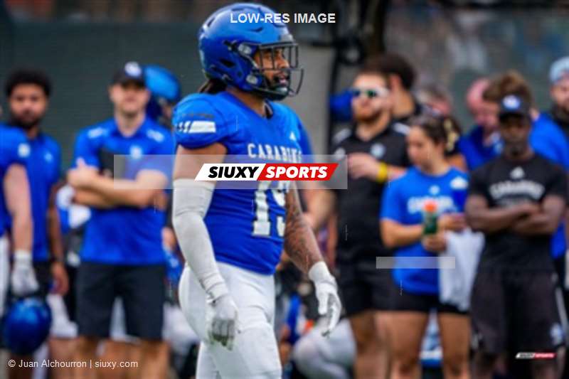 RSEQ 2025 - Football Universitaire - Carabins de Montréal (41) vs (14) Stingers de Concordia - Match