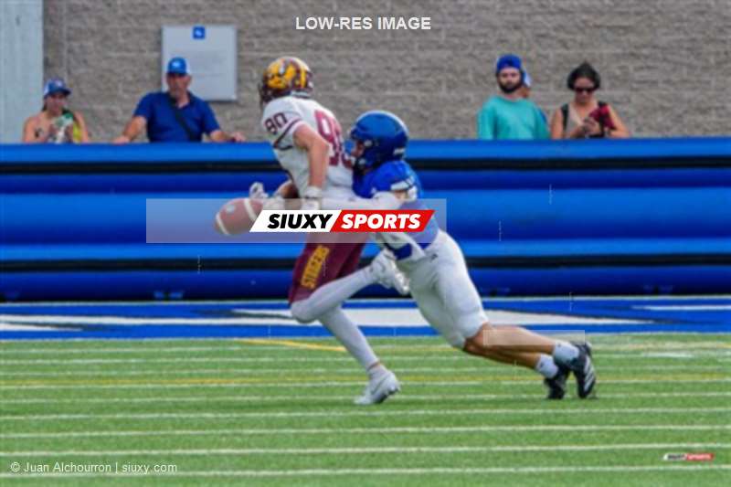 RSEQ 2025 - Football Universitaire - Carabins de Montréal (41) vs (14) Stingers de Concordia - Match