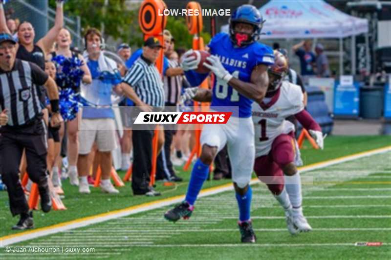 RSEQ 2025 - Football Universitaire - Carabins de Montréal (41) vs (14) Stingers de Concordia - Match