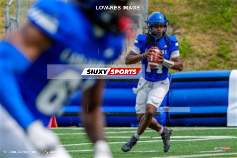 RSEQ 2025 - Football Universitaire - Carabins de Montréal (41) vs (14) Stingers de Concordia - Match