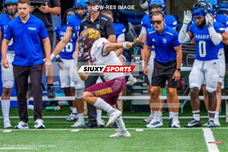RSEQ 2025 - Football Universitaire - Carabins de Montréal (41) vs (14) Stingers de Concordia - Match