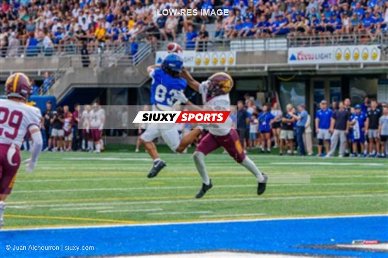 RSEQ 2025 - Football Universitaire - Carabins de Montréal (41) vs (14) Stingers de Concordia - Match