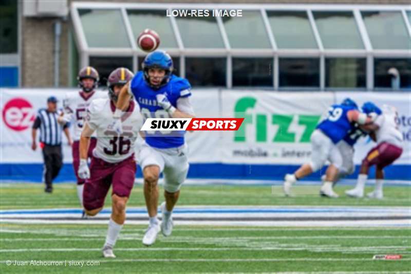 RSEQ 2025 - Football Universitaire - Carabins de Montréal (41) vs (14) Stingers de Concordia - Match