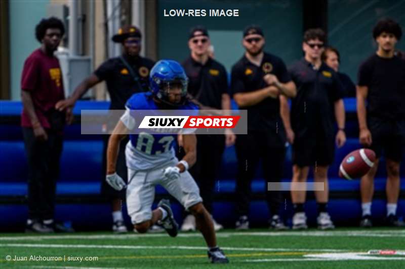 RSEQ 2025 - Football Universitaire - Carabins de Montréal (41) vs (14) Stingers de Concordia - Match