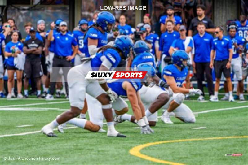 RSEQ 2025 - Football Universitaire - Carabins de Montréal (41) vs (14) Stingers de Concordia - Match