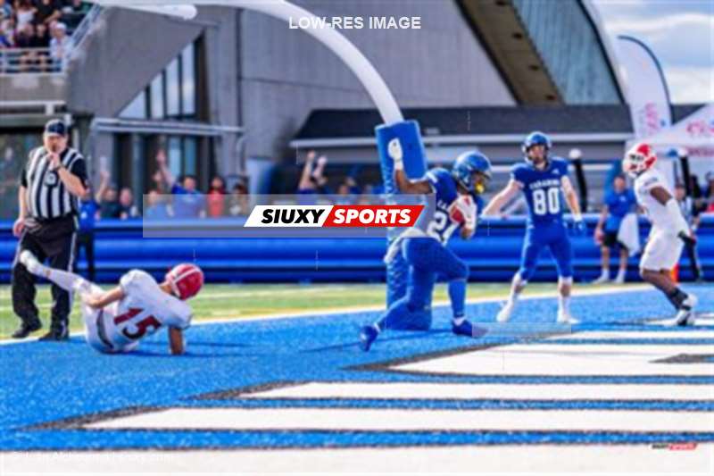 RSEQ Football Universitaire - Carabins-UdM (43) vs (11) Redbirds-McGill - 2eme mi-temps