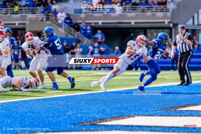 RSEQ Football Universitaire - Carabins-UdM (43) vs (11) Redbirds-McGill - 2eme mi-temps