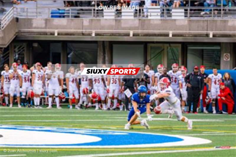 RSEQ Football Universitaire - Carabins-UdM (43) vs (11) Redbirds-McGill - 2eme mi-temps