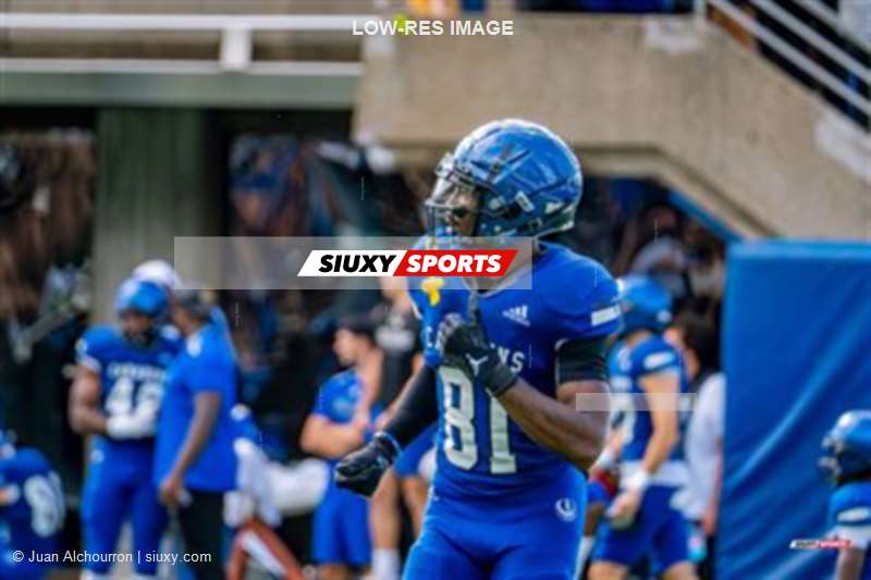 RSEQ Football Universitaire - Carabins-UdM (43) vs (11) Redbirds-McGill - 2eme mi-temps