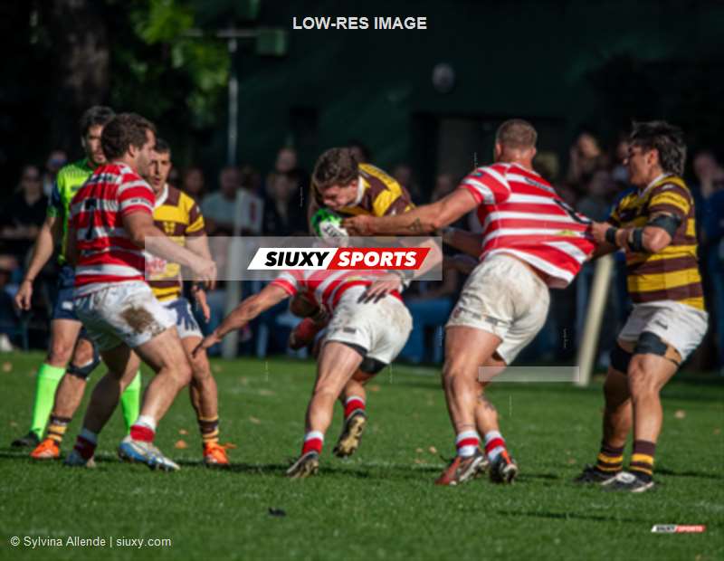  Belgrano Athletic Club - Asociación Alumni - Rugby - URBA 2025 - Top 12 Sup - Belgrano Athletic (35) vs (17) Asociacion Alumni (#URBA25T14BAAA) Photo by: Sylvina Allende | Siuxy Sports 2025-08-02