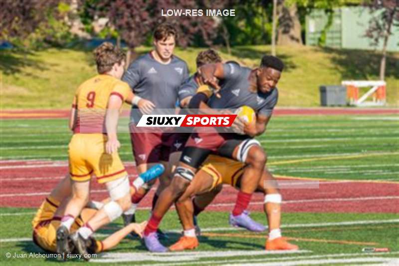 RSEQ 2023 RUGBY M - Concordia Stingers (40) VS (31) Ottawa Gee Gees - 2nd Half