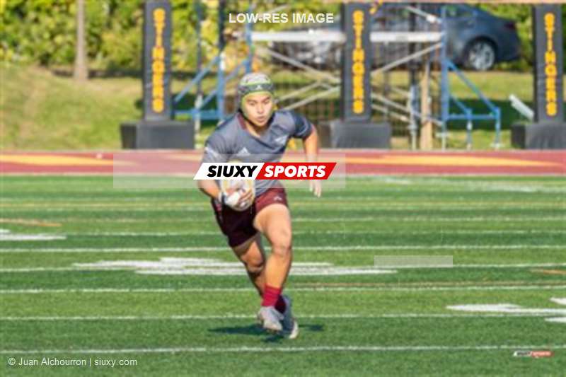 RSEQ 2023 RUGBY M - Concordia Stingers (40) VS (31) Ottawa Gee Gees - 2nd Half