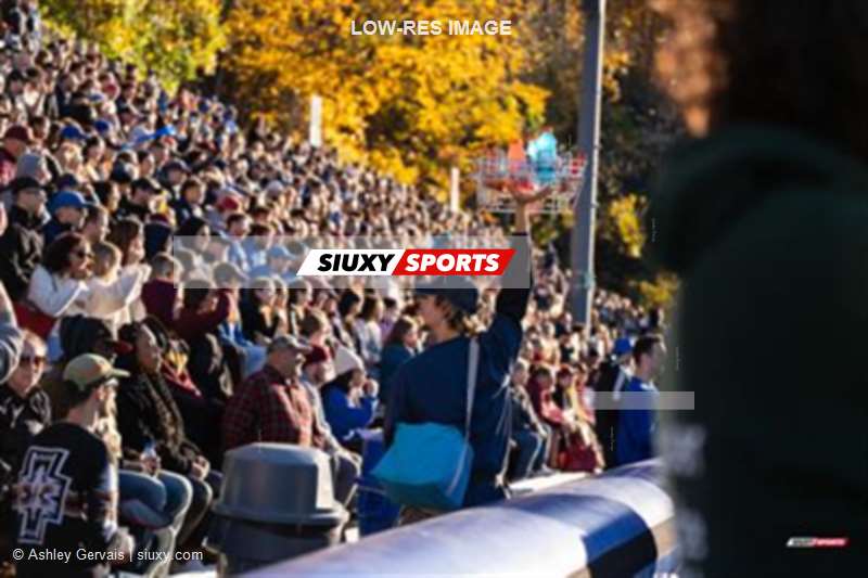 RSEQ - 2023 Football - Université de Montréal (14) vs (16) Concordia University