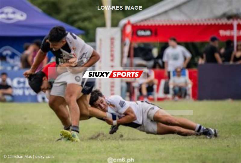 Seven Tafi del Valle 2026 - Gulero 7 vs Stella Artois