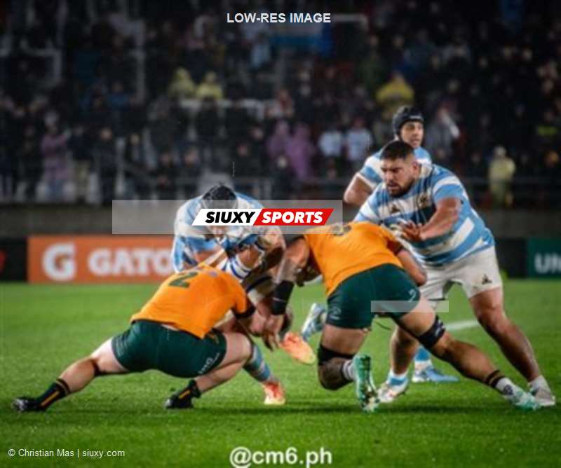Rugby Championship 2024 - Argentina Pumas (19) vs (20) Australia Wallabies