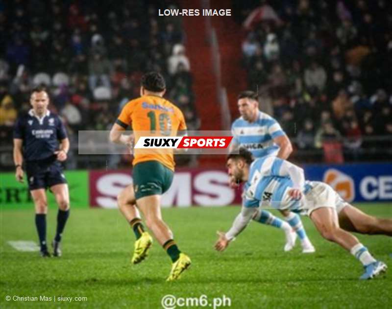 Rugby Championship 2024 - Argentina Pumas (19) vs (20) Australia Wallabies