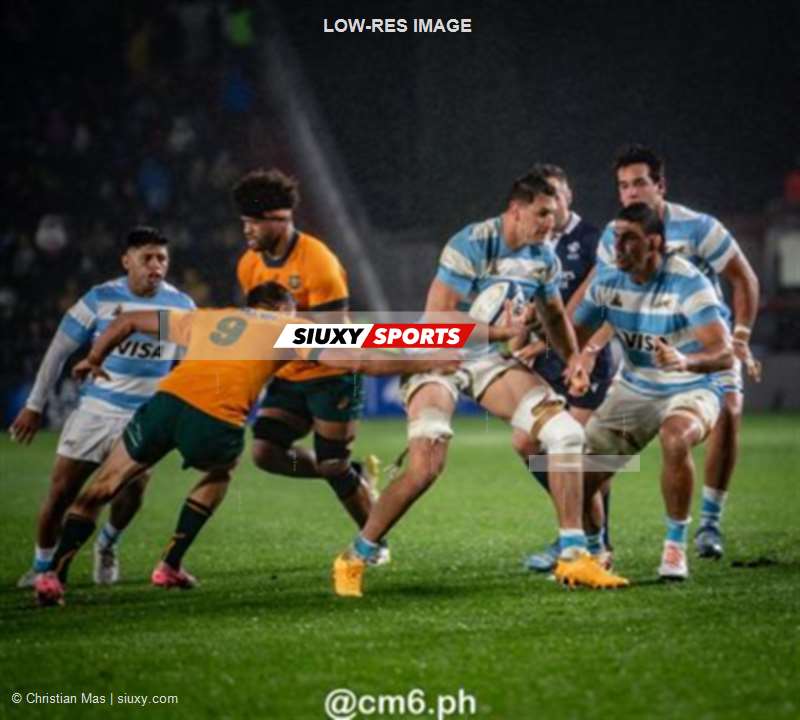 Rugby Championship 2024 - Argentina Pumas (19) vs (20) Australia Wallabies