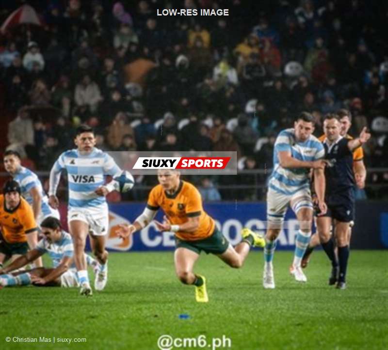 Rugby Championship 2024 - Argentina Pumas (19) vs (20) Australia Wallabies