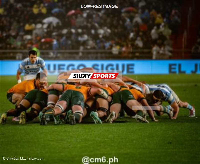 Rugby Championship 2024 - Argentina Pumas (19) vs (20) Australia Wallabies