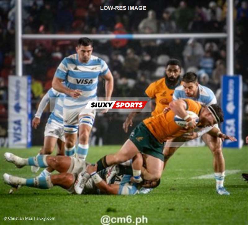Rugby Championship 2024 - Argentina Pumas (19) vs (20) Australia Wallabies