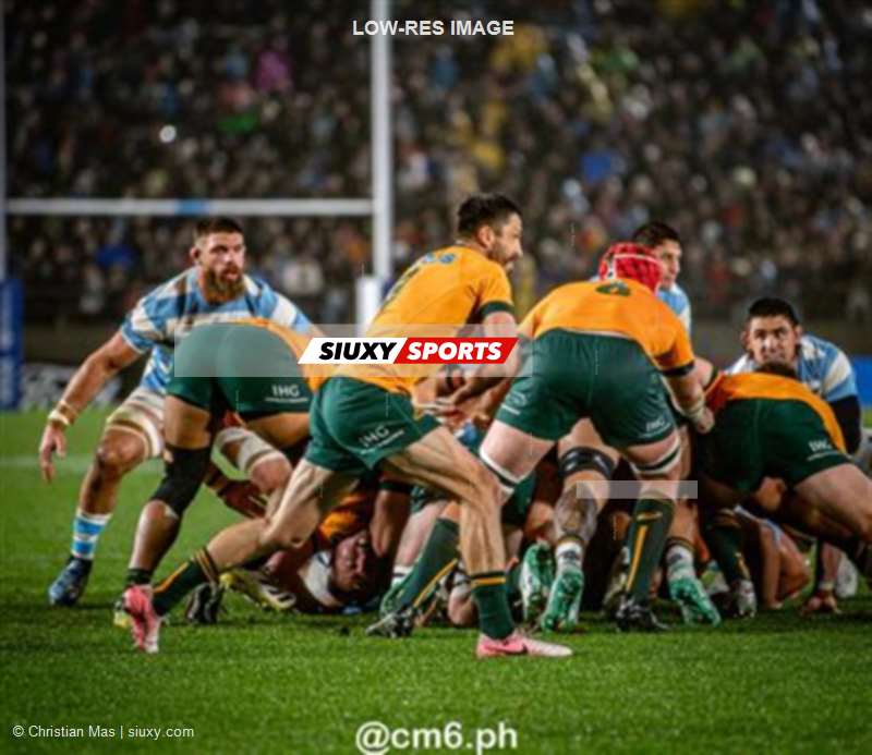 Rugby Championship 2024 - Argentina Pumas (19) vs (20) Australia Wallabies