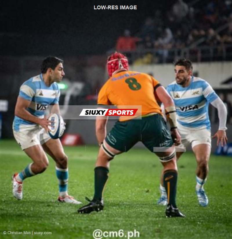 Rugby Championship 2024 - Argentina Pumas (19) vs (20) Australia Wallabies