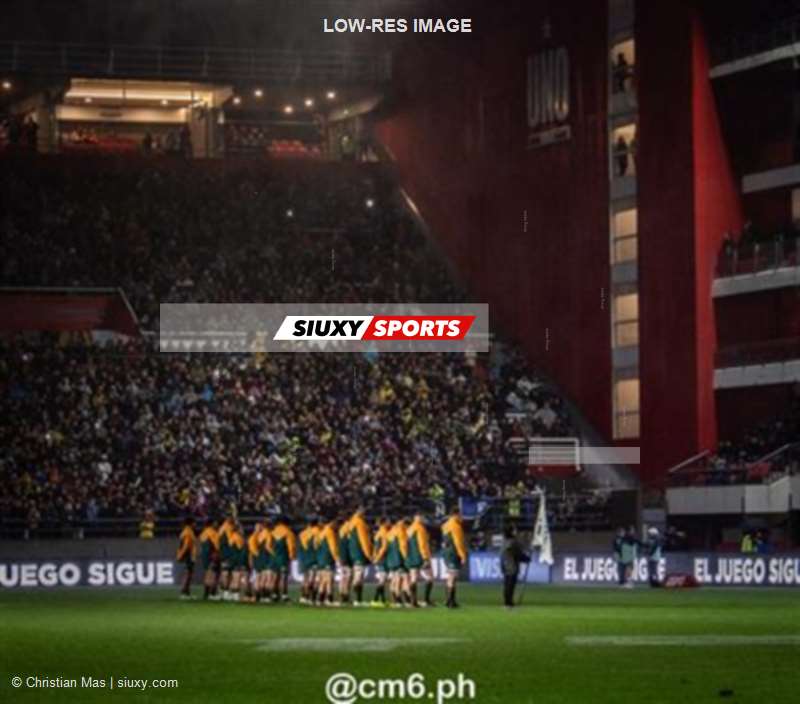 Rugby Championship 2024 - Argentina Pumas (19) vs (20) Australia Wallabies