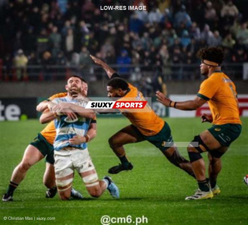 Rugby Championship 2024 - Argentina Pumas (19) vs (20) Australia Wallabies