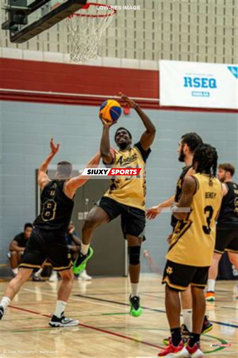 2026 - Area Courts - Arena 24 - Gods Division - Moonhunters vs Talons